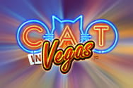 Cat in Vegas